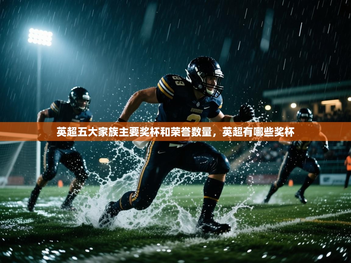 开云体育直播平台-英超五大家族主要奖杯和荣誉数量,英超有哪些奖杯 第2张