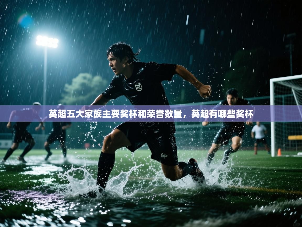 开云体育直播平台-英超五大家族主要奖杯和荣誉数量,英超有哪些奖杯 第4张