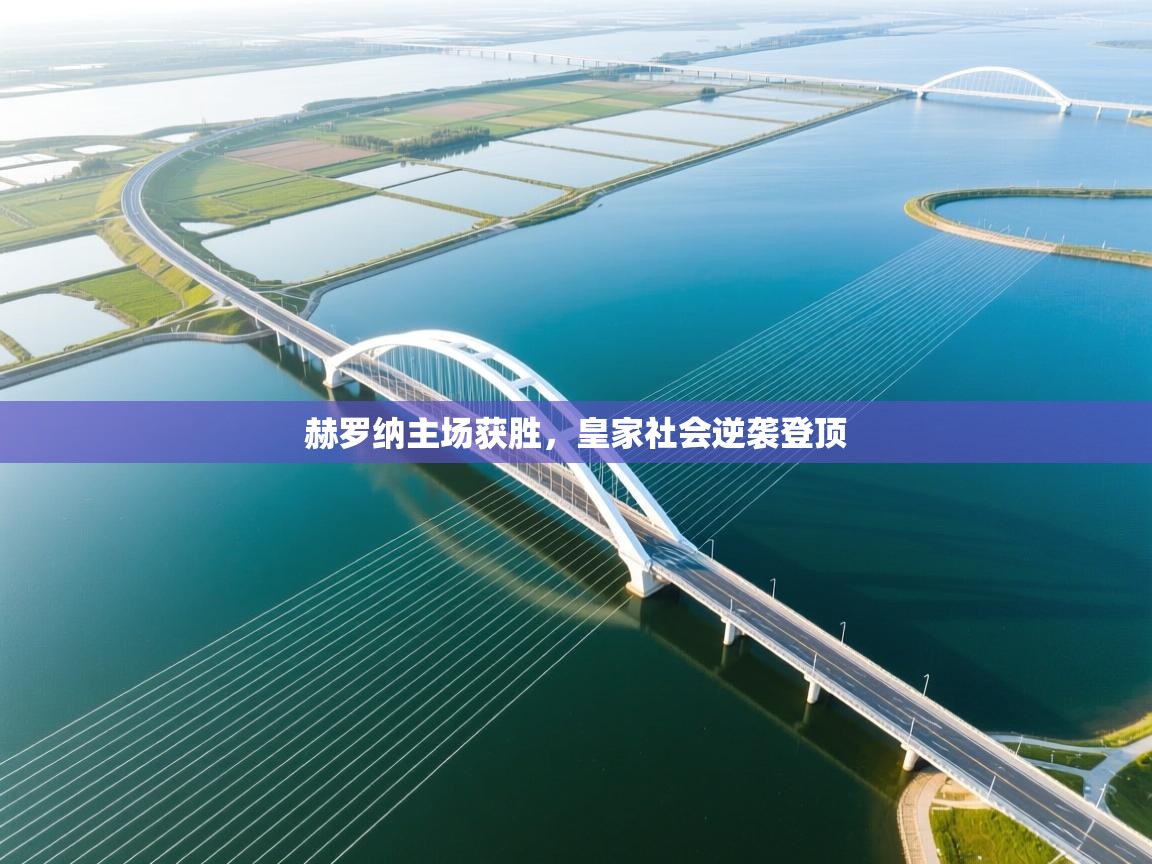 开云注册-赫罗纳主场获胜,皇家社会逆袭登顶 第3张