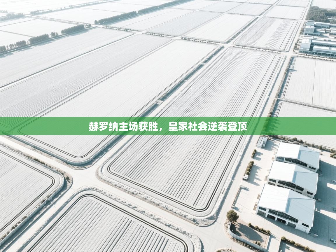 开云注册-赫罗纳主场获胜,皇家社会逆袭登顶 第4张