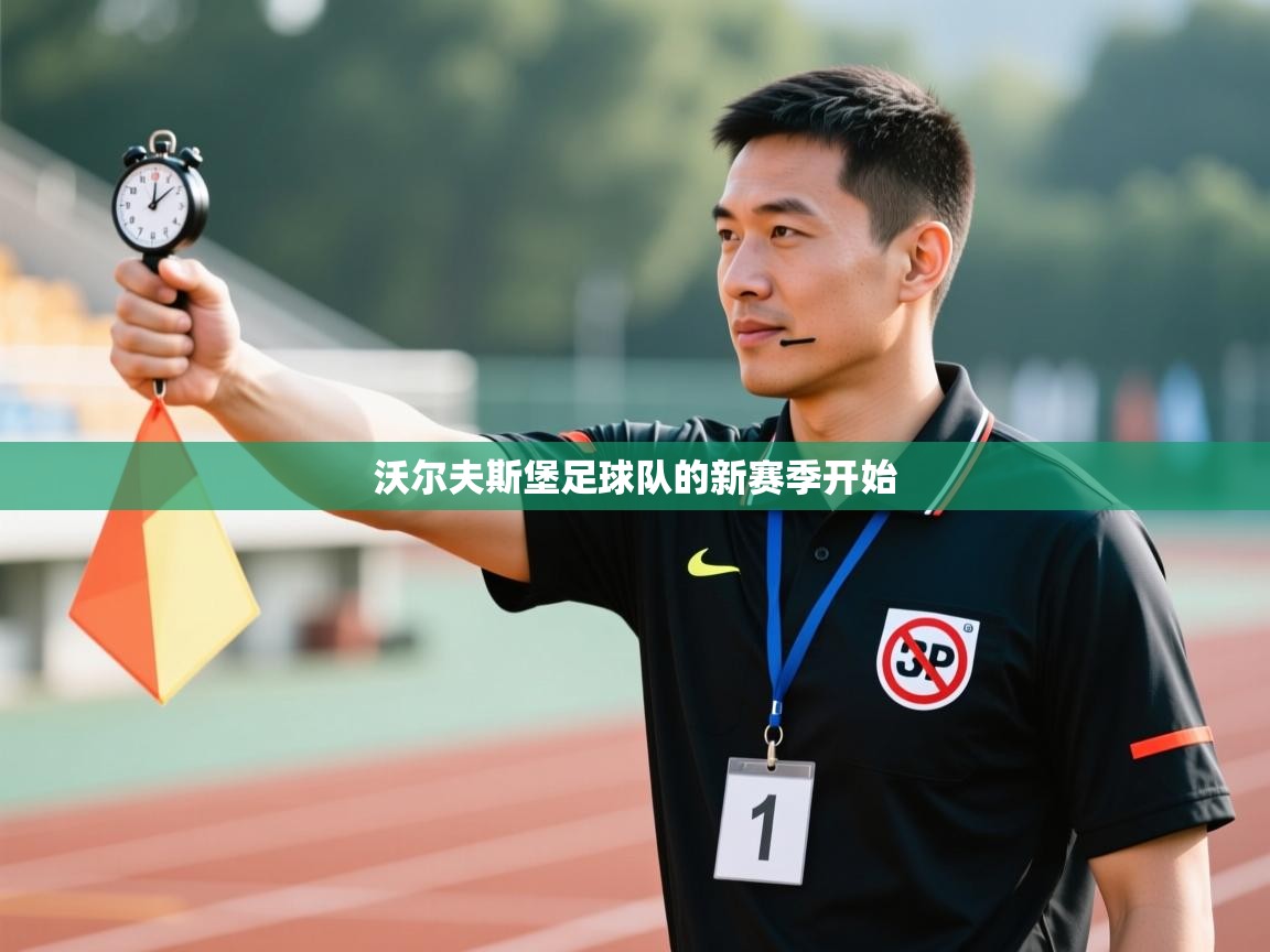 开云体育app官网-沃尔夫斯堡足球队的新赛季开始  第3张