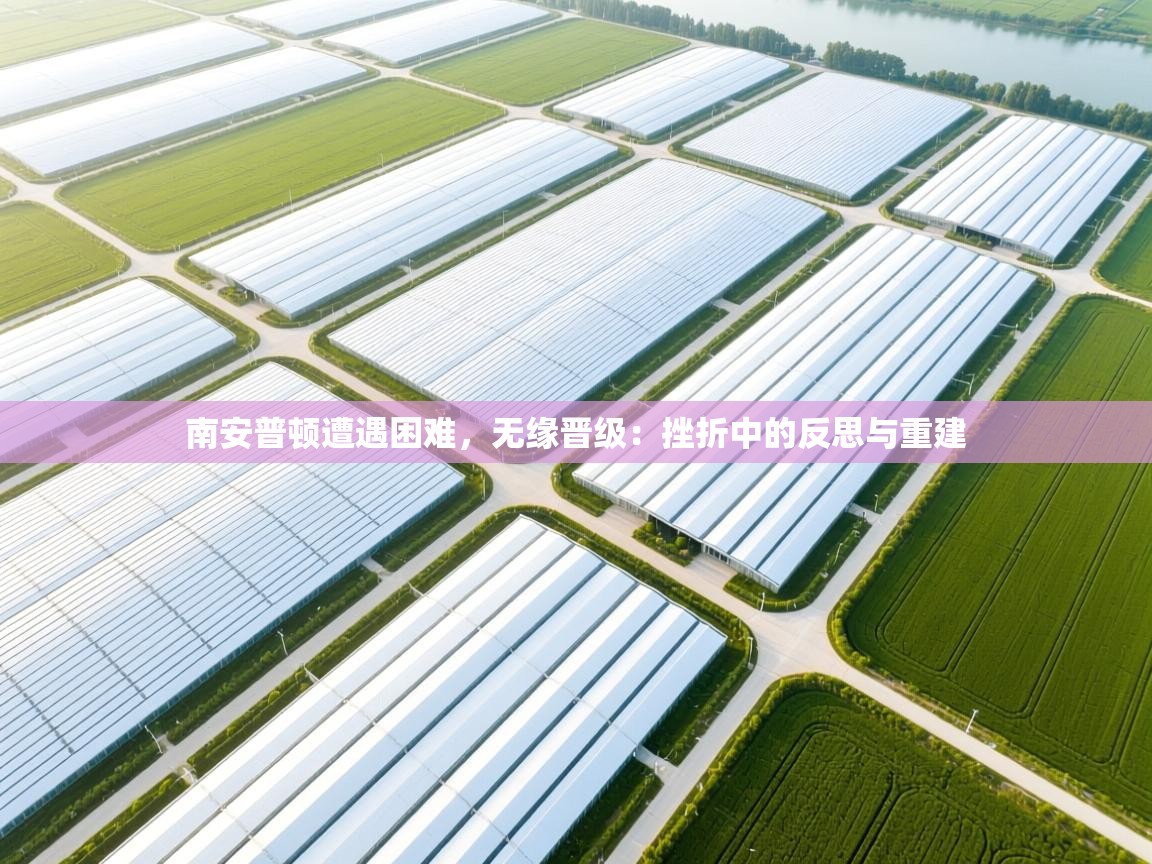 云开体育-南安普顿遭遇困难，无缘晋级：挫折中的反思与重建  第3张