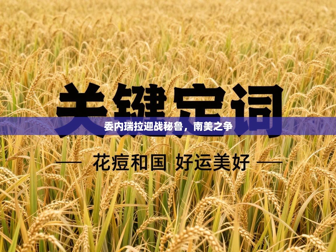 云开体育官方app下载-委内瑞拉迎战秘鲁，南美之争  第3张