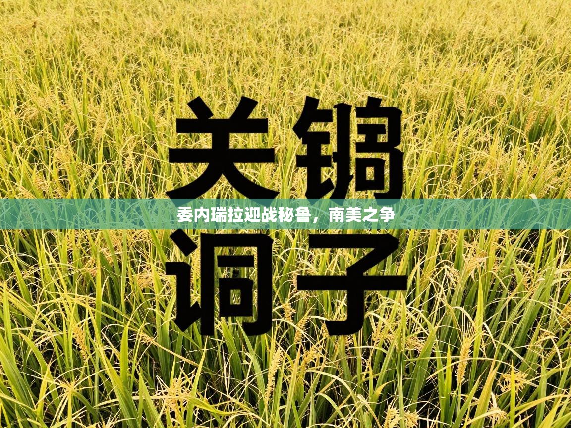 云开体育官方app下载-委内瑞拉迎战秘鲁，南美之争  第4张